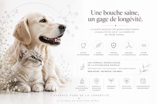 Infinity Gel : L'excellence du soin buccal pour nos compagnons