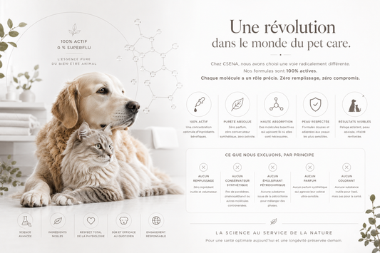 Nos formules 100 % actives  : l'explication.