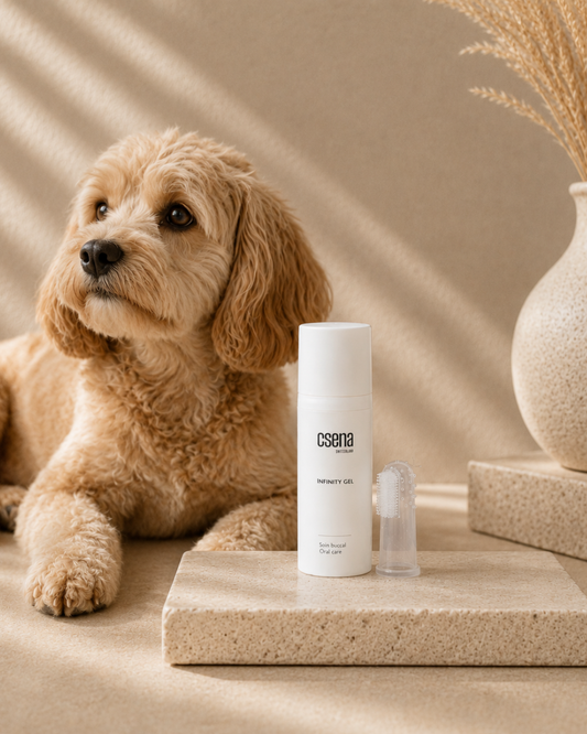 Infinity Gel : L'excellence du soin buccal pour nos compagnons